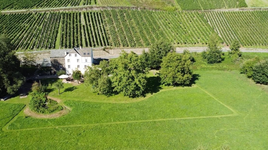Livi'S Landhaus Neumagen-Dhron Exteriör bild